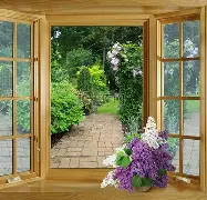 窗口期明尼苏达森林狼扳平良机:葡超节点到来,媒体盛赞,医务组通报恢复的简单介绍-开云网址